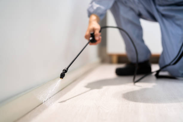 Licensed Termite Control service in Scottville, MI - Nex Pest Control