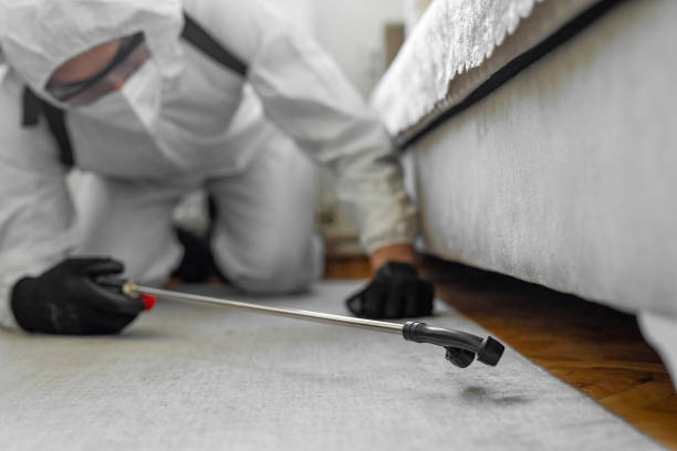 Professional Termite Control technician working in Scottville, MI