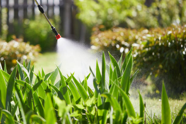 24/7 Emergency Termite Control experts in Scottville, MI