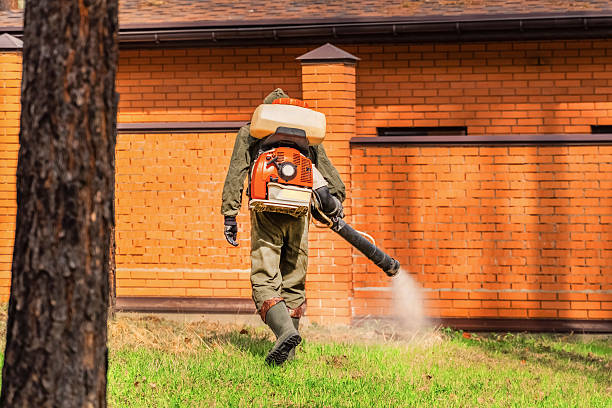 Trusted Termite Control service in Scottville, MI - Nex Pest Control